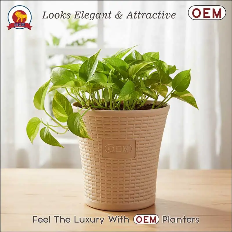 Set of 3 – 10 Inch Beige Planter Pots - Image 4