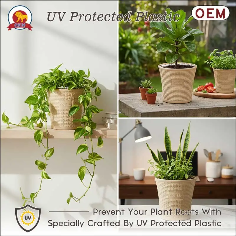 Set of 3 – 10 Inch Beige Planter Pots - Image 5