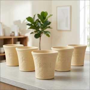 OEM Premium 6 Inch Beige Planters – Luxury Indoor & Outdoor Flower Pots | Heavy-Duty Decorative Pots for Home Décor & Terrace | Pack of 5