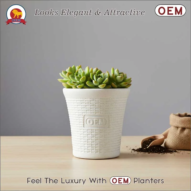Set of 12 – 6 Inch White Planter Pots - Image 3