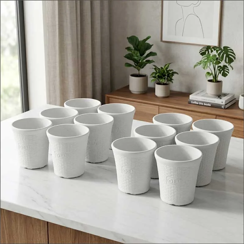 Set of 12 – 6 Inch White Planter Pots