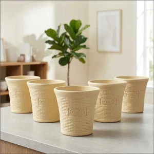 Set of 5 – 6 Inch Beige Planter Pots